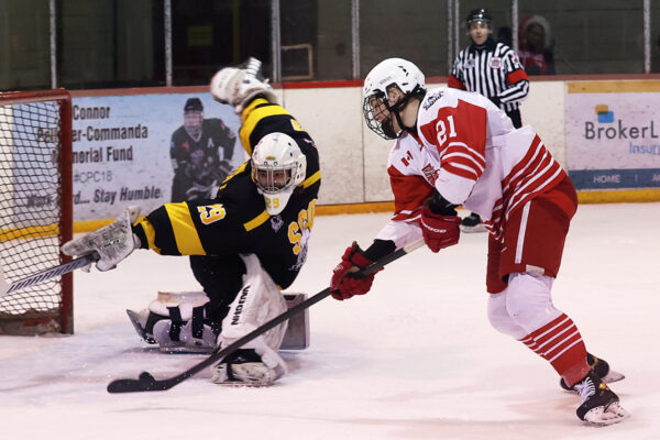 GALLERY: Red Wings rally past Eagles