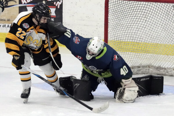 GALLERY: Gold leads Eagles over Paper Kings